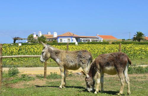 Herdade Do Touril - Foto 92