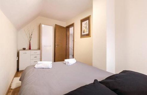 Awesome Home In Brestovac With Sauna - Foto 30