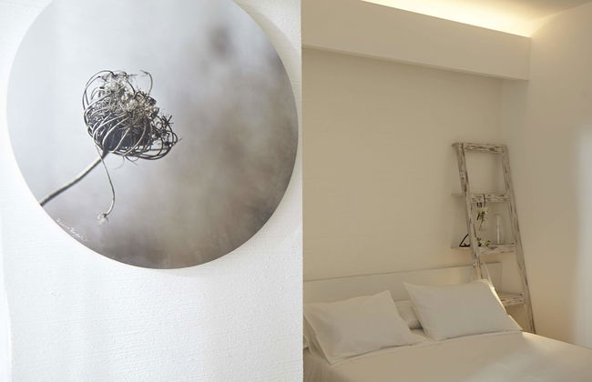 Ferrini Home Suites - Foto 4