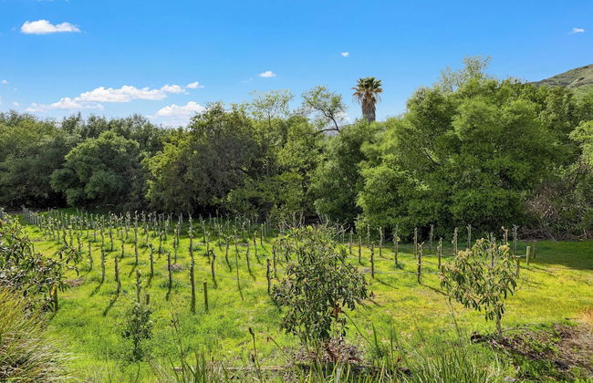 Grapevine by Avantstay Secluded 5BR Villa 4 Acres of Vineyards & Avo Groves! - Foto 73