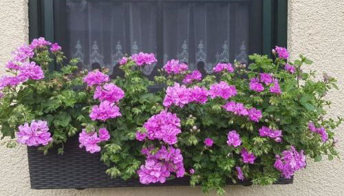 Apartment Am Marsfeld by Interhome - Foto 5