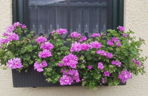 Apartment Am Marsfeld by Interhome - Foto 5