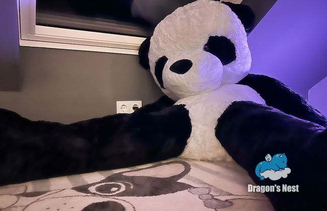 Dragons Nest: Cozy & Modern Attic Loft Nuremberg - Foto 35