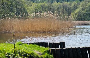 Apartament Jerzyn - Foto 34