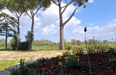 Podere Muracciolo - Foto 18