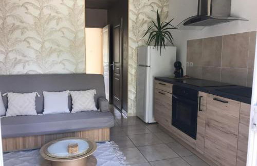 Appartement T1 plain pied - Foto 8