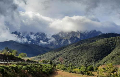 Apartamento Picos de Europa - Foto 12