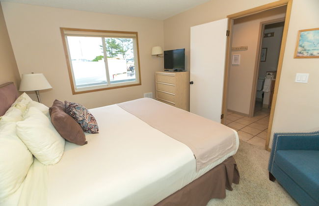 The Grey Gull - Foto 42