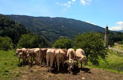 Baita Agaz - Foto 75