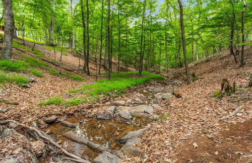 Cabin w hot tub & kayaks by river - Foto 37