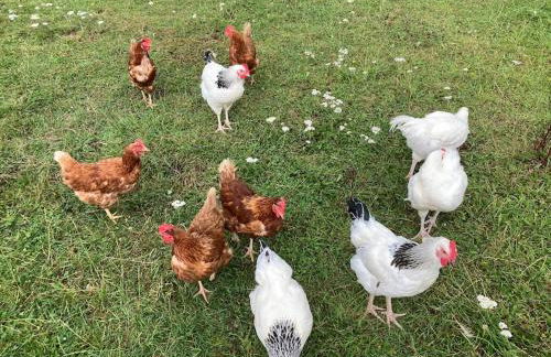 Light & Airy Vaulted Barn Conversion with a View - Photo 13