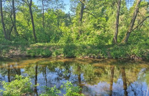 Pet Friendly Home In Spore - Foto 24