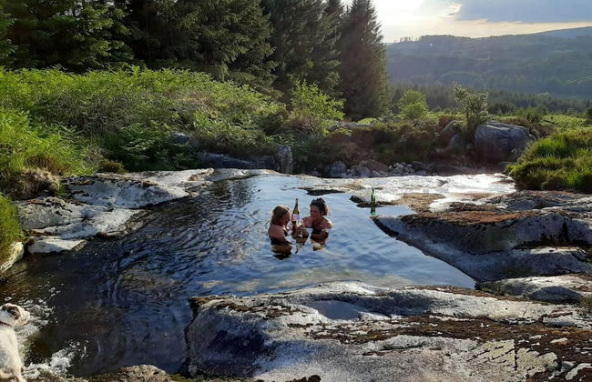 1 Bed Cabin in the Magical Galloway Forest Park - Photo 12
