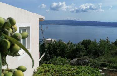 STAR of the SEA 2 - Photo 1