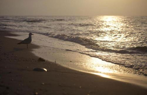 Lake-view Apartment in Klein Pravtshagen With Garden - Foto 136