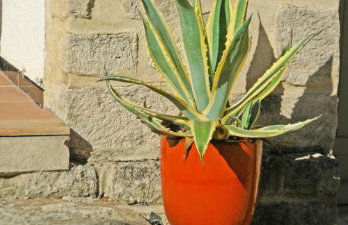 Villa in Crillon-le-Brave near Mont Ventoux - Foto 38