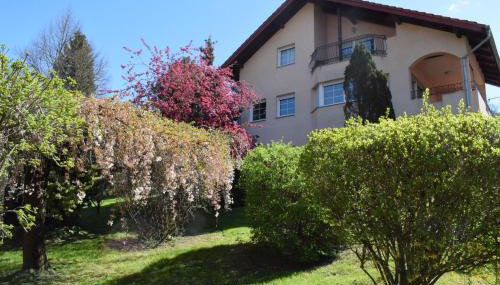 Green Home - Photo 2