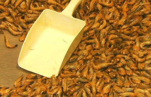 Haus Auf der Warft in Wangerland - Photo 30