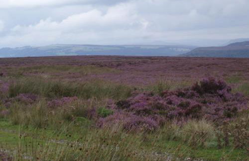 Hillside Cottage - Foto 17