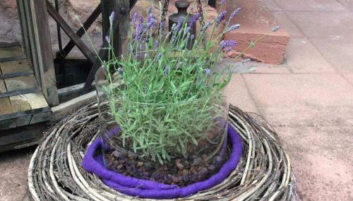 Haus am Kirchberg in Vita Garden - Foto 2, Other