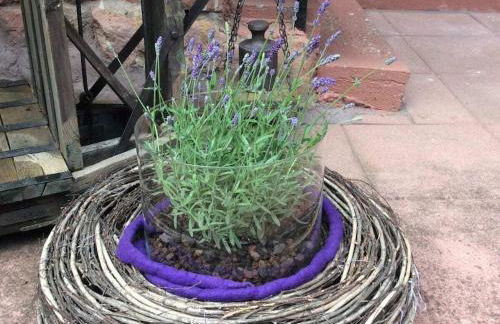 Haus am Kirchberg in Vita Garden - Foto 2