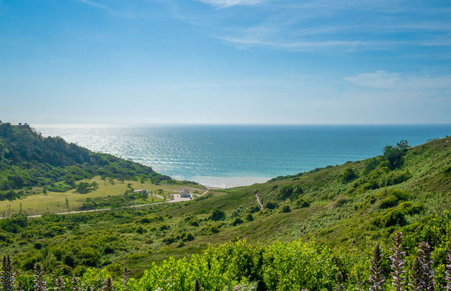 Le clos Xapella - Foto 18