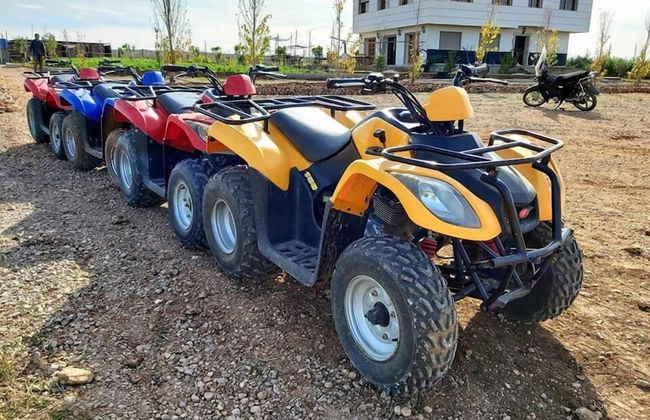 Bio et Bois - Foto 57