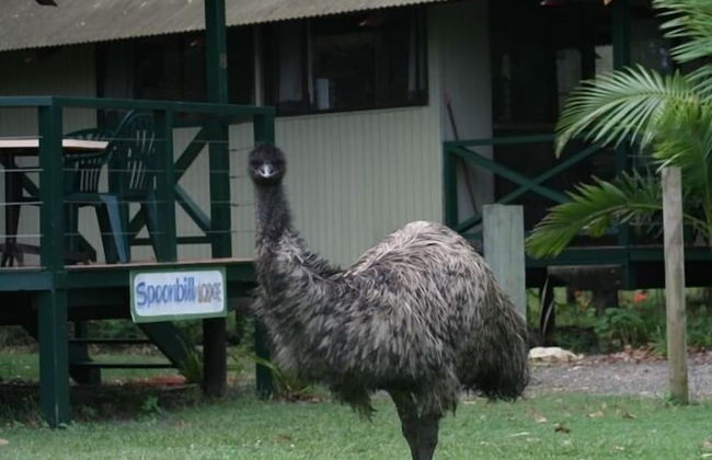 Wooli River Lodges - Foto 37