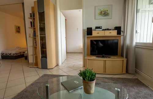 Apartment Schönblick - F 55 by Interhome - Foto 16