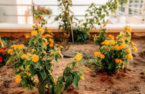Villa Acquamarina per Gruppi e Famiglie a Capo Vaticano Costa degli Dei - Foto 42