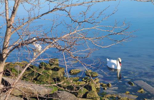 Ca'del Porto - Foto 39