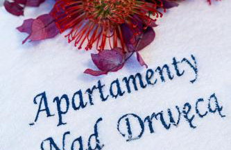 Apartamenty Nad Drwęcą - Foto 29