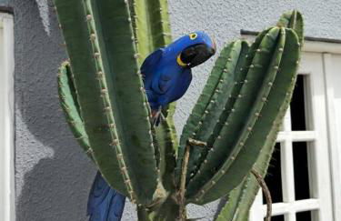 Ôxente que lugar arretado! - Photo 41