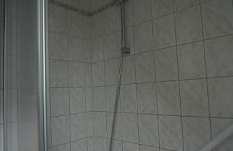 Zaunkönigin - Foto 29