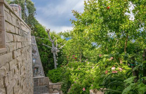 Apartments by the sea Cove Donja Kruscica - Donja Krusica, Solta - 11146 - Photo 16