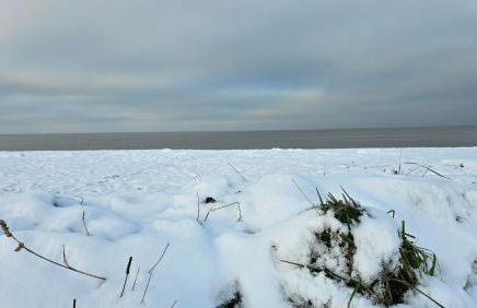 Finkennest Wolke 7 - Foto 28