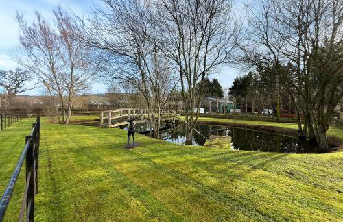 Pant Ifan Goch - Photo 27