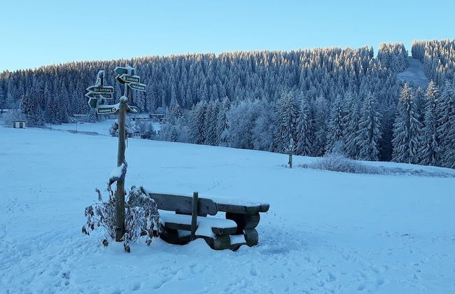 Pension Zum Glasmacher - Foto 46