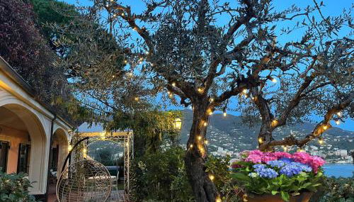 Villa Mares - sea view, free garage - Foto 5, Garden view