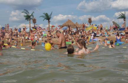 W Starym Sadzie - Foto 29