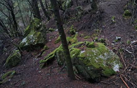 Wood Cabins by the River - for Nature Lovers - Photo 71