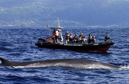 Silvia's House - Photo 22