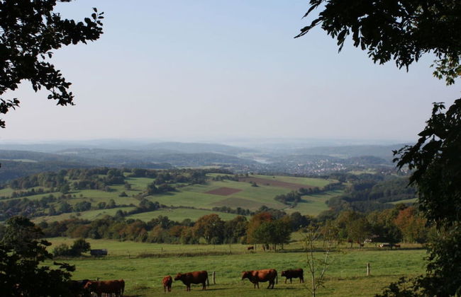 Apartment in Schotten-betzenrod - Foto 16