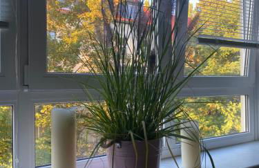 Central City Privatapartment Relax-Inn, Netflix & Sky TV! - Foto 19