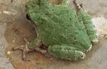 Fishers Of Men Ranch Home - Photo 29