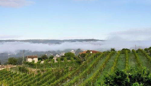 Casa do Vitó - Foto 3