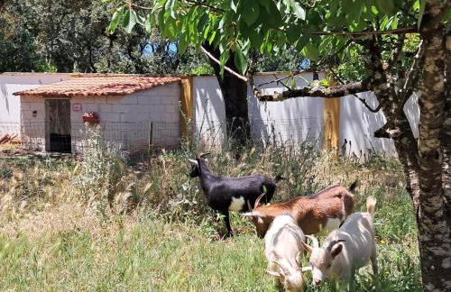 Sol Lua Apt - Foto 25