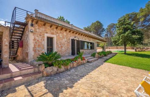 El Bosque Candy - Foto 9