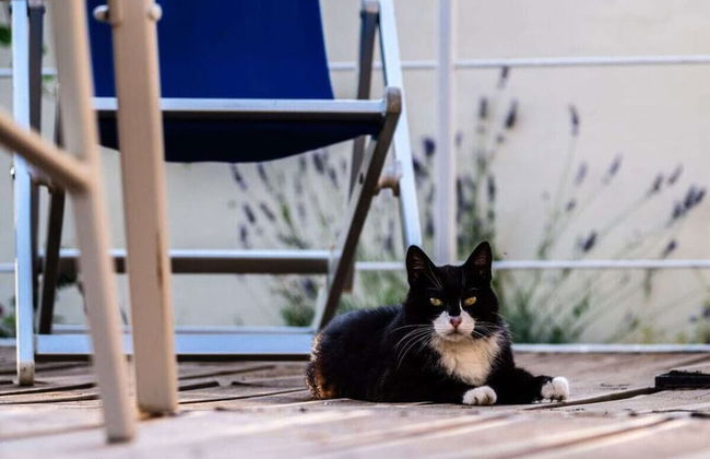 Casina di Savolano Comfortable Holiday Residence - Foto 22