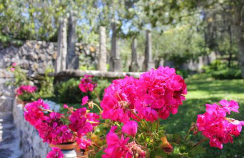 Casa do Nato -Turismo Rural - Foto 20